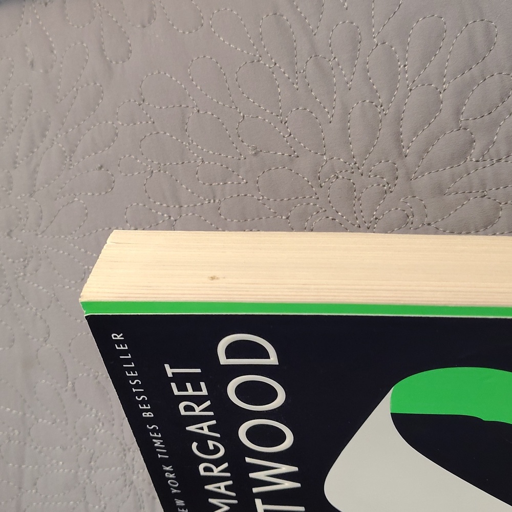 The Testaments by Margaret Atwood - Picture 4 of 5